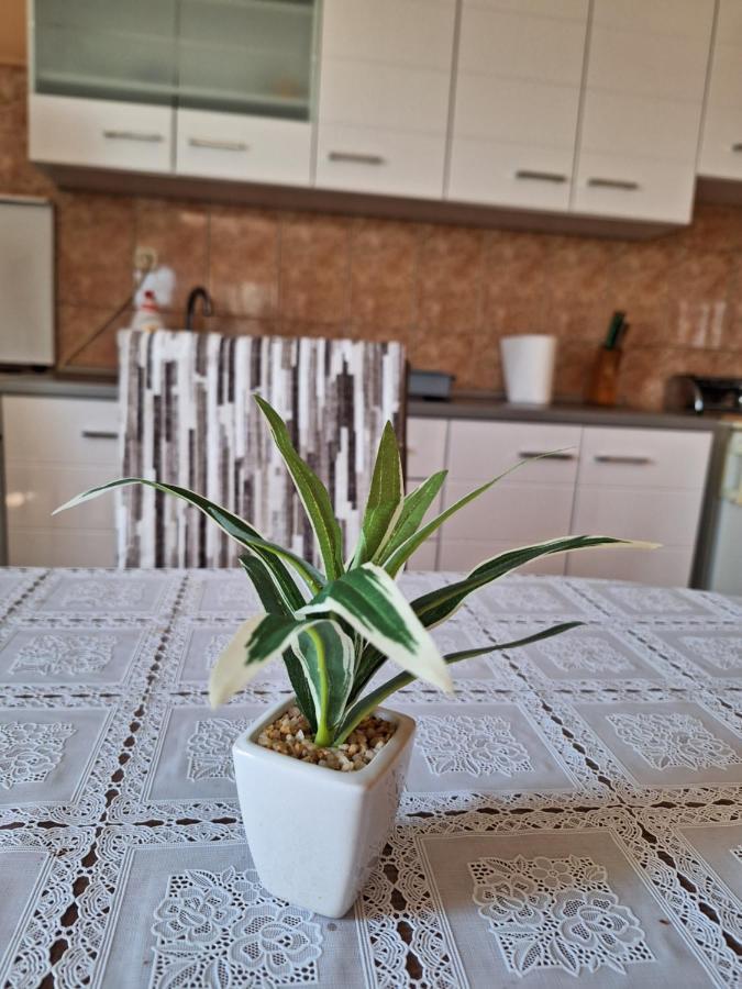 Mara Apartment Zadar Ngoại thất bức ảnh